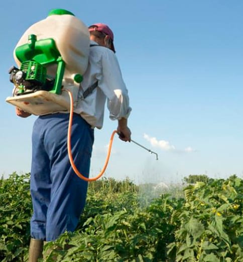 Carnet básico de productos fitosanitarios de 25 horas